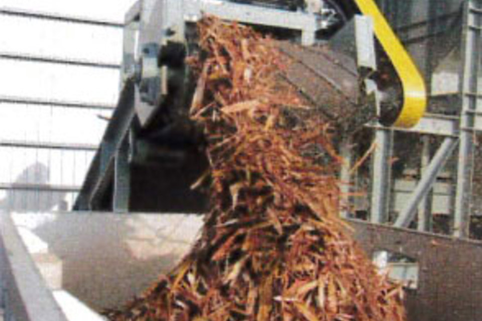 バーク（アンダー品）の画像