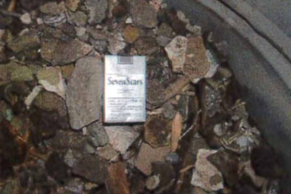 分離された異物の画像